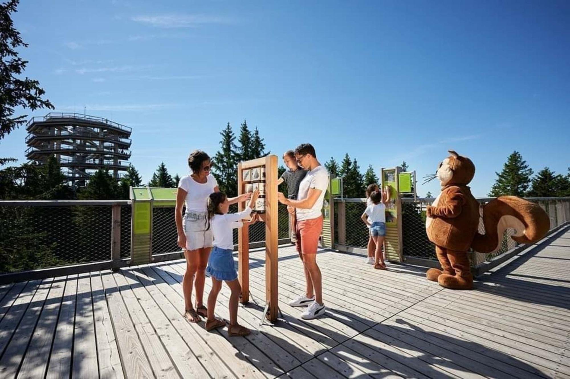Rogla - Chalet Mojca Pokrajculja Zreče Buitenkant foto