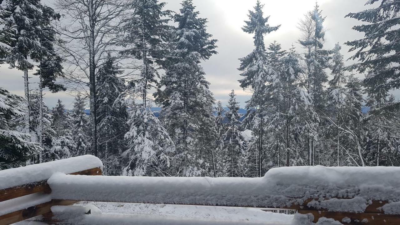 Rogla - Chalet Mojca Pokrajculja Zreče Buitenkant foto