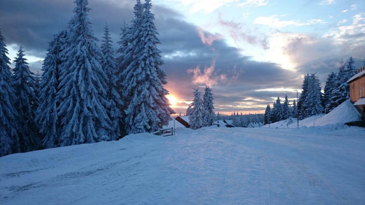Rogla - Chalet Mojca Pokrajculja Zreče Buitenkant foto