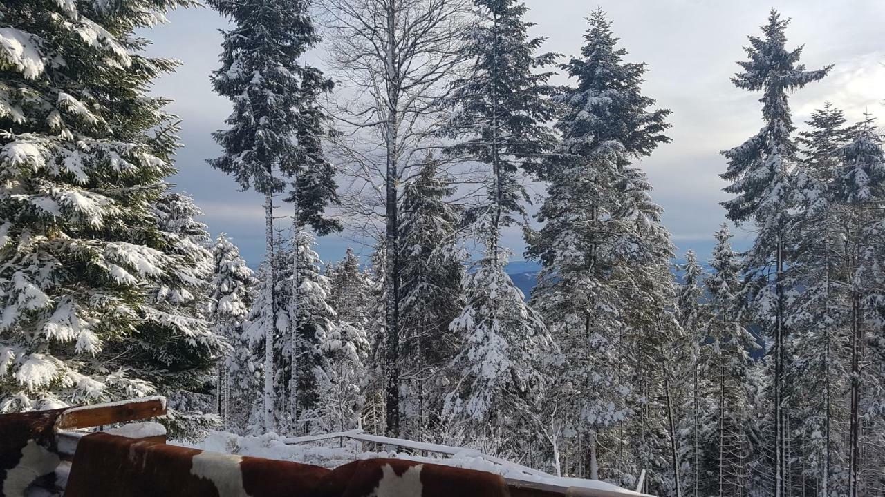 Rogla - Chalet Mojca Pokrajculja Zreče Buitenkant foto